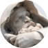 img 1.png